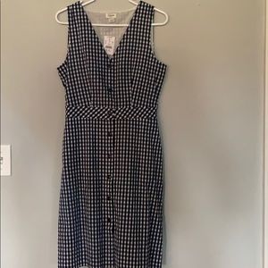 Jcrew gingham dress